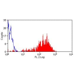SELP / P-Selectin / CD62P Antibody (clone Psel.KO.2.5, RPE)