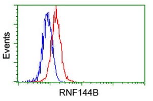RNF144B Antibody (clone OTI9H10)