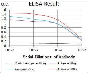 PathPlus™ NOS2 / iNOS Antibody (aa997-1058, clone 4E5)