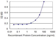 ANGPTL3 Antibody (clone 3B7)