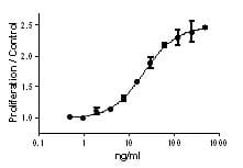 Mouse IL34 Protein (Recombinant)