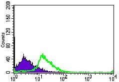 Monoclonal Mouse anti-Human Betaglycan / TGFBR3 Antibody (clone 1C5H11, Amino Acid: 147-328, WB)