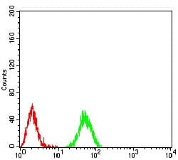 HIST2H3C Antibody (clone 2D7B3)