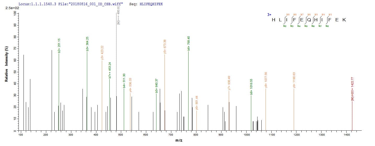 Bovine FDX1 / ADX Protein (Recombinant 10His, N-terminus)