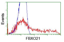 FBXO21 Antibody (clone OTI1E1)