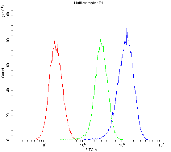 GSR / Glutathione Reductase Antibody