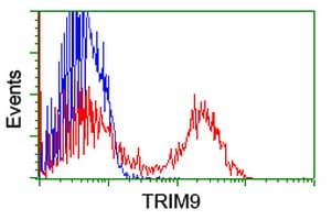 SPRING / TRIM9 Antibody (aa284-669, clone OTI2H3, Carrier-free)