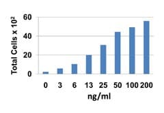 Human CCL25 / TECK Protein (Recombinant)