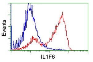 IL36A Antibody (clone OTI1A4)