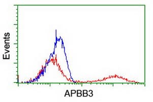 APBB3 Antibody (clone OTI1G5)