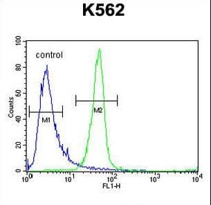 ANKRD52 Antibody (aa433-461)