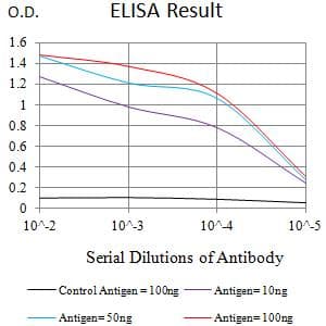 Monoclonal Mouse anti-Human SIRPG Antibody (clone 4F8C10, WB)