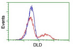 DLD / Diaphorase / E3 Antibody (clone OTI8A10, Carrier-free)