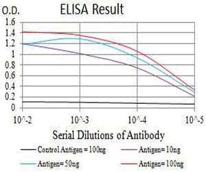 CTNNB1 / Beta Catenin Antibody (clone 7C5A2)