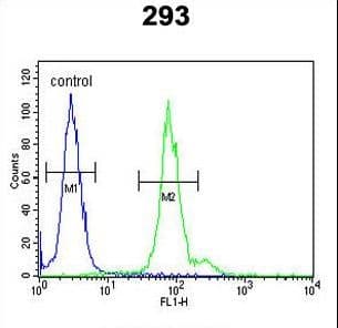 Polyclonal Rabbit anti-Human ID4 Antibody (aa1-30, IHC, WB)