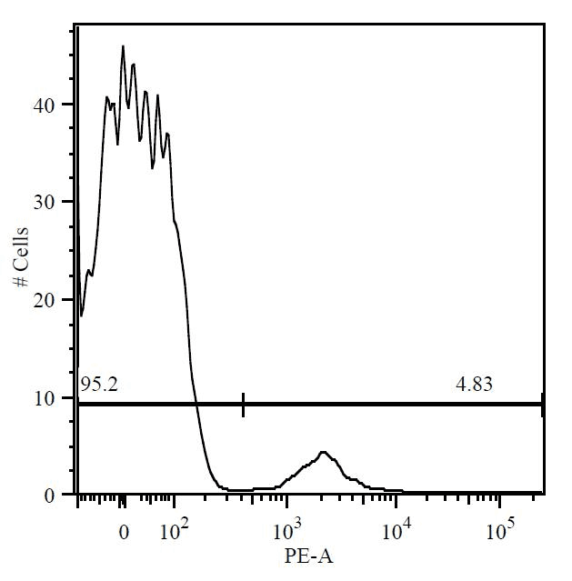 Monoclonal Mouse anti-Human CD19 Antibody (clone 4G7)