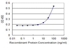 CD95 / FAS Antibody (clone 5B4)