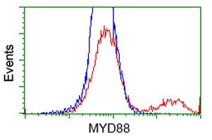 MYD88 Antibody (clone OTI1A10)