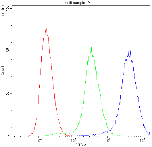 NME1 / NM23 Antibody (aa137-152)