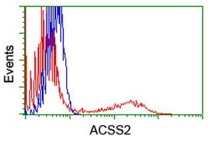 Monoclonal Mouse anti-Human ACSS2 / ACAS2 Antibody (clone OTI2G8, WB)