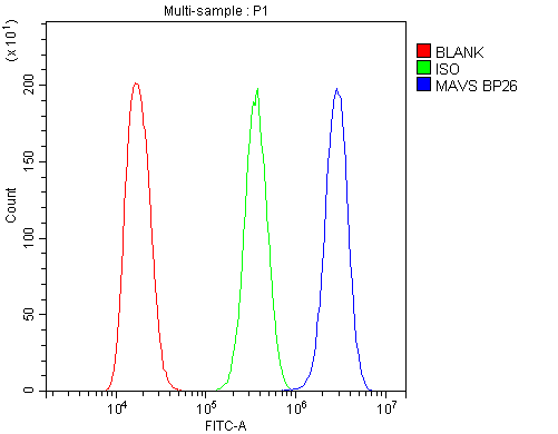 VISA / MAVS Antibody