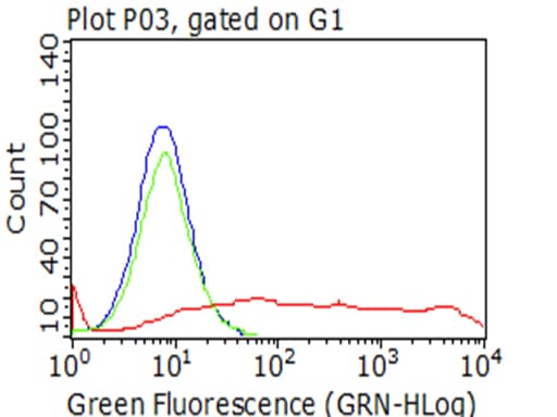 PECAM-1 / CD31 Antibody (clone UMAB30)