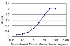 IHC-plus™ Monoclonal Mouse anti-Human CBS Antibody (clone 6A9, IHC, WB)