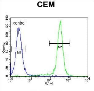 CCDC122 Antibody (aa203-231)