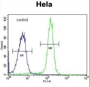 IHC-plus™ FAM40A Antibody (aa352-381)