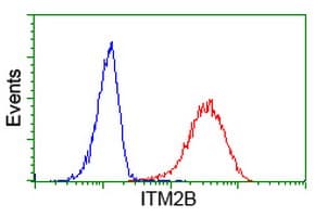 Monoclonal Mouse anti-Human ABRI / ITM2B Antibody (clone OTI1C11, IHC, WB)