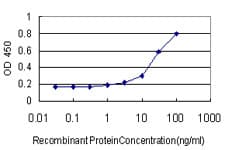 SMAD1 Antibody (clone 2E9)