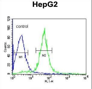 AMID / AIFM2 Antibody (aa319-348)