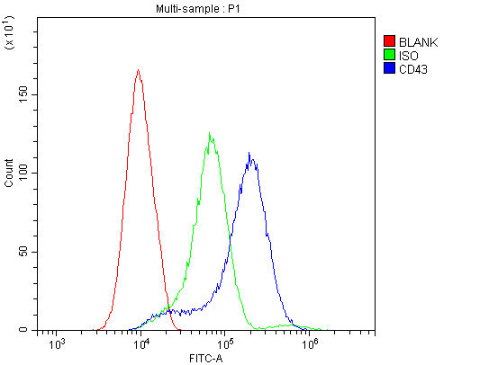 Polyclonal Rabbit anti-Human SPN / CD43 Antibody (aa272-400, IHC, WB)