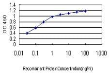 PDE1B Antibody (clone 5B6)