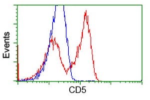 Monoclonal Mouse anti-Human CD5 Antibody (clone OTI6F7, WB)