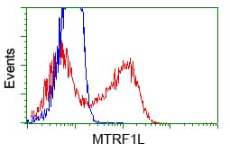HMRF1L / MTRF1L Antibody (clone OTI1E3)
