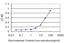 Monoclonal Mouse anti-Human TRAF6 Antibody (clone 1B2, WB)