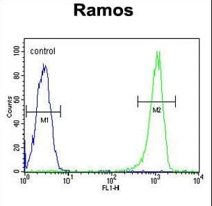 C11orf53 Antibody (aa187-215)