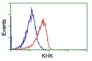 KHK / Ketohexokinase Antibody (clone OTI3D1)