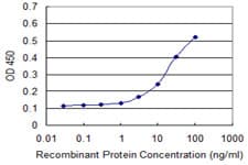 PHLDA2 / TSSC3 Antibody (clone 5E3)
