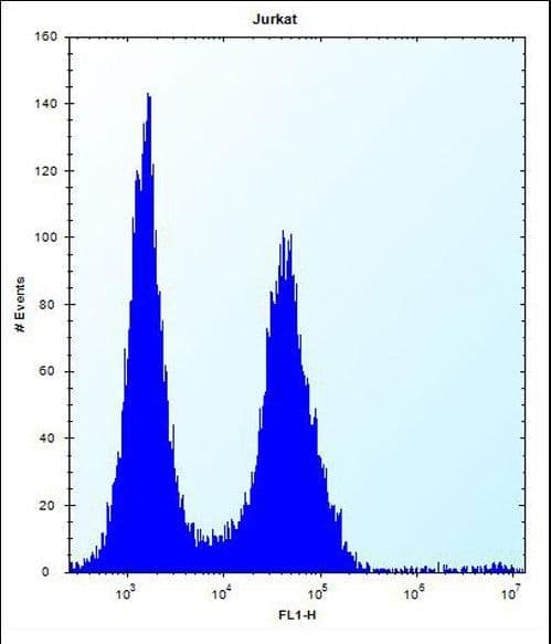 GCK / Germinal Center Kinase Antibody (aa321-349)
