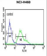 FCGR1A / CD64 Antibody (aa217-245)