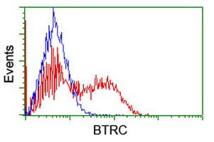 Monoclonal Mouse anti-Human BTRCP / BETA-TRCP Antibody (clone OTI2H2, IF, WB)