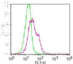 DNMT3A Antibody (FITC)