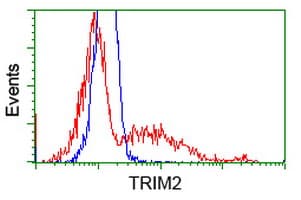 KIAA0517 / TRIM2 Antibody (clone OTI4D6)