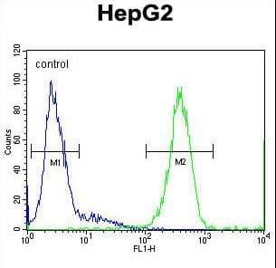 SOHLH1 Antibody (aa40-68)
