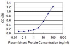 PDE8A Antibody (clone 1H6)