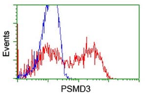 p58 / PSMD3 Antibody (clone OTI2A2, Carrier-free)
