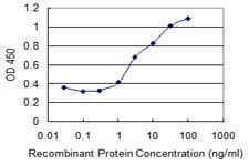 CDKN2B / p15 INK4b Antibody (clone 8C4)