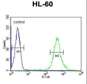 IHC-plus™ CRIP1 Antibody (aa48-77)